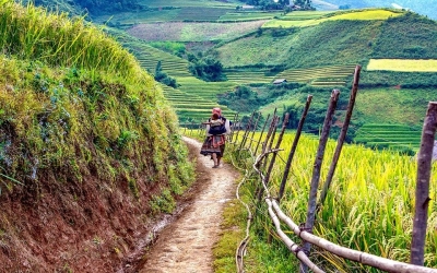  Köy Tanıtım Videosu